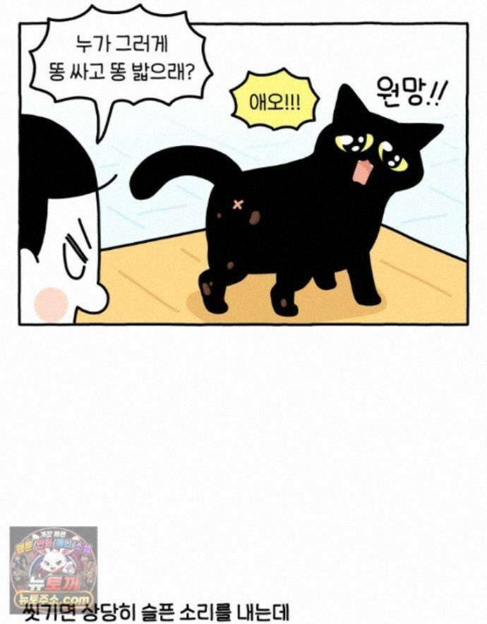 먼지 덩어리 짱덕 74. 고양이와 공동주택 22