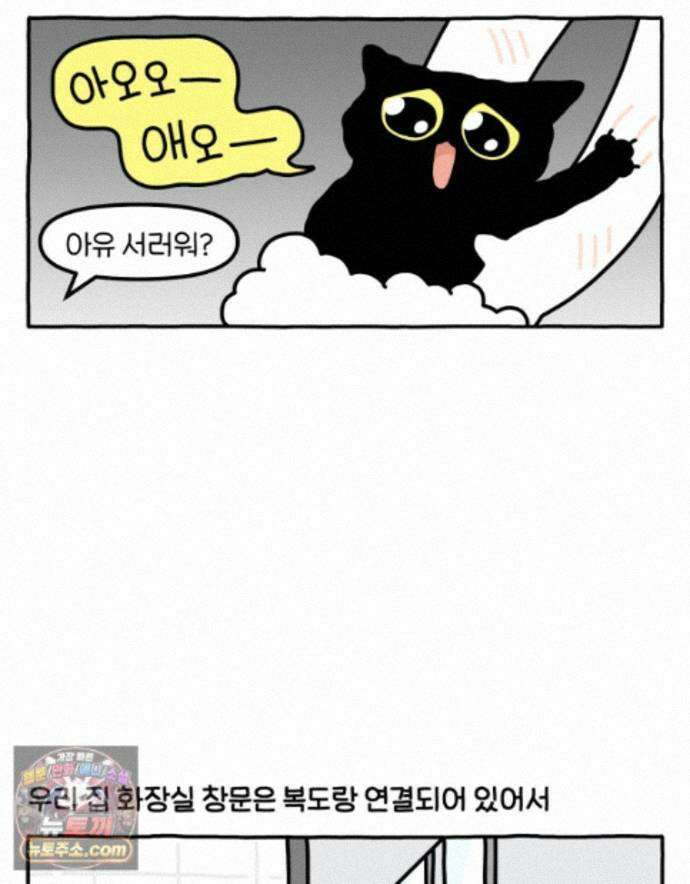 먼지 덩어리 짱덕 74. 고양이와 공동주택 23