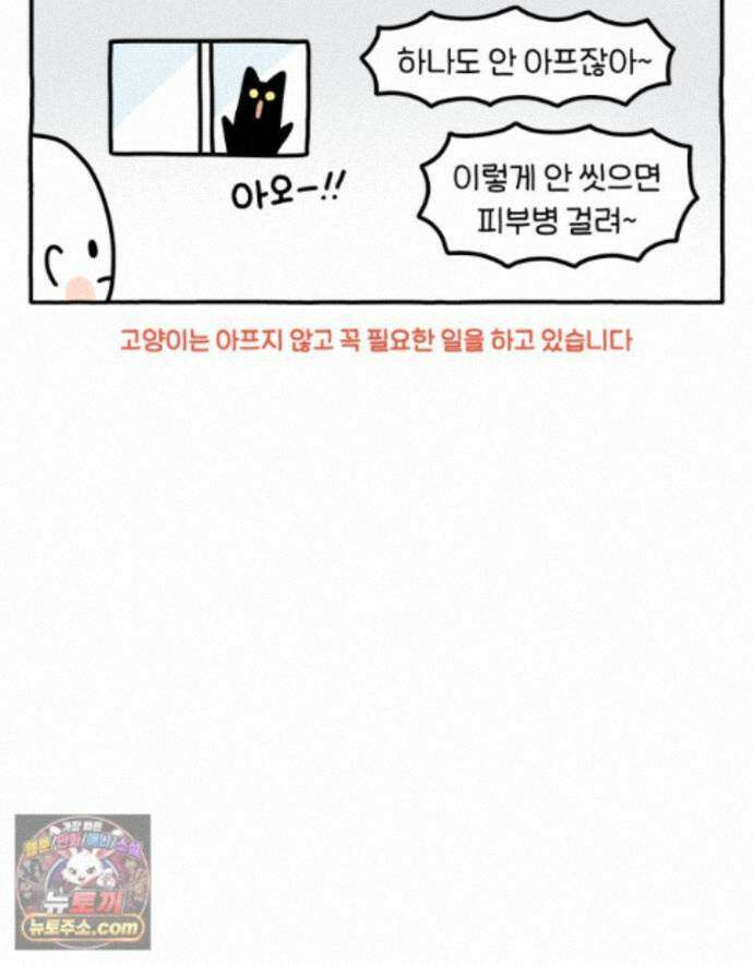 먼지 덩어리 짱덕 74. 고양이와 공동주택 28