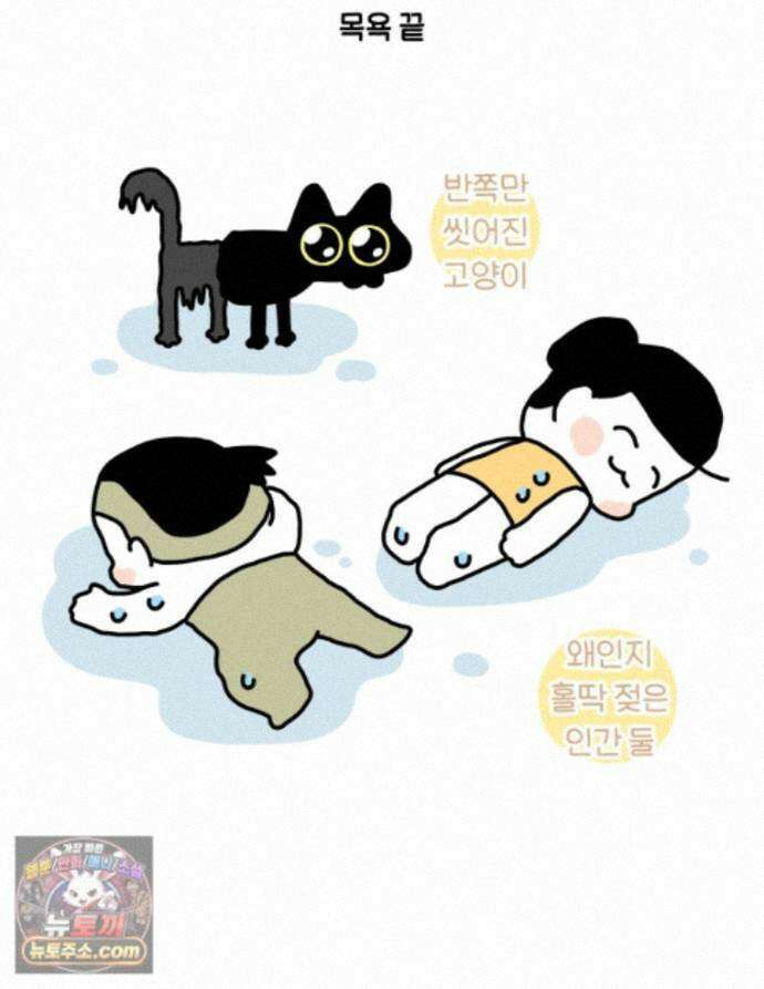 먼지 덩어리 짱덕 74. 고양이와 공동주택 29