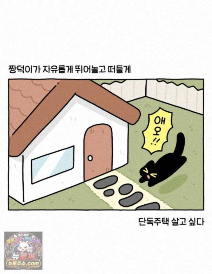 먼지 덩어리 짱덕 74. 고양이와 공동주택 31
