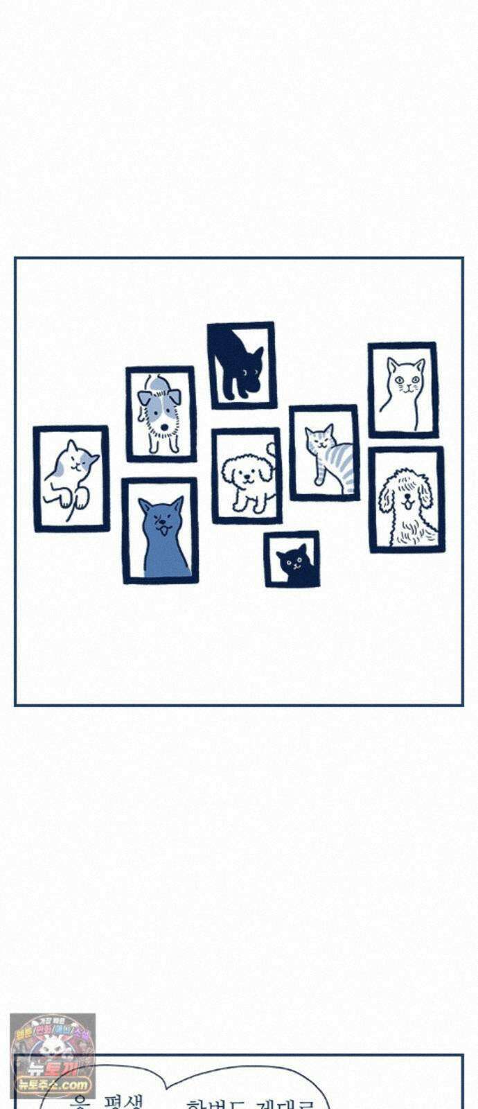 펫로스클럽 ＃43． 징표 13