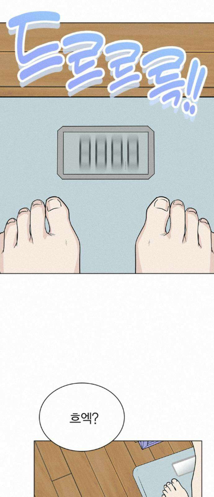 청춘정식 47. 오늘의 메뉴! 월남쌈 2