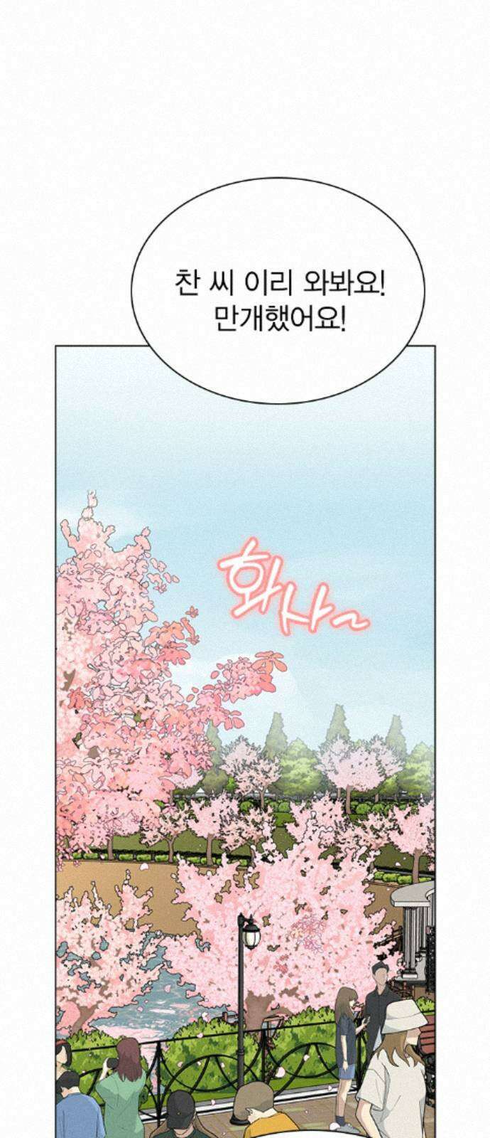 청춘정식 47. 오늘의 메뉴! 월남쌈 21