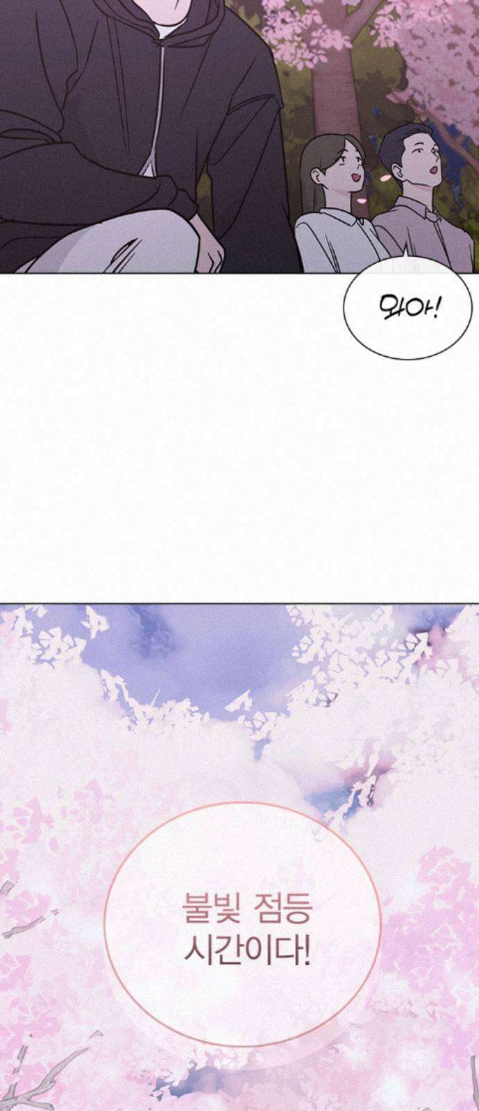 청춘정식 47. 오늘의 메뉴! 월남쌈 58