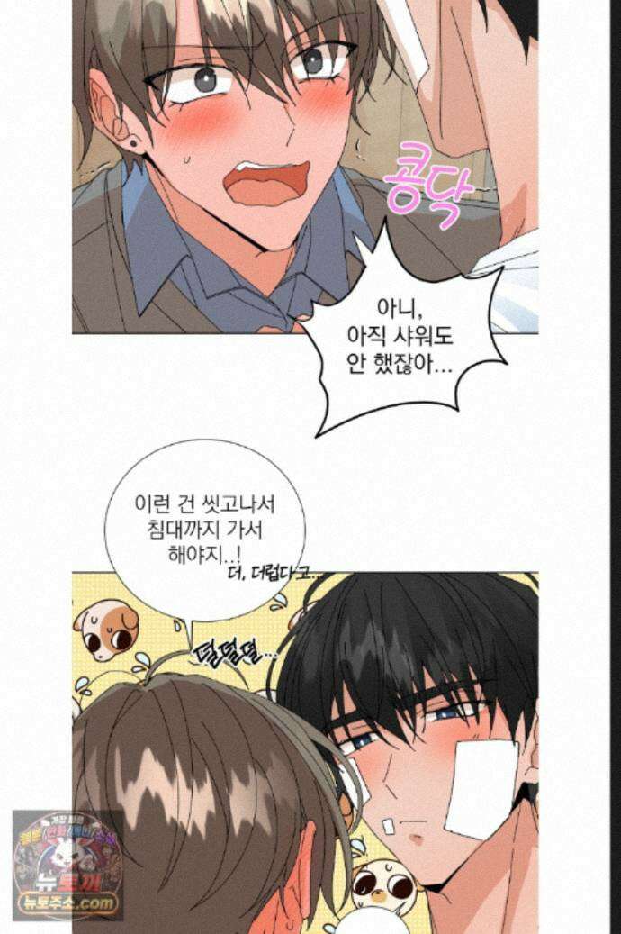 신혼부부 특별전형 61화 11