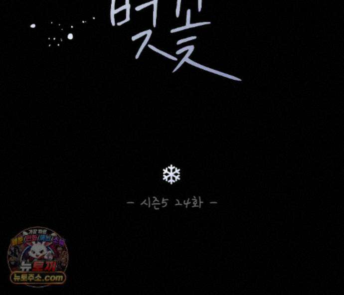 겨울 지나 벚꽃 시즌5 24화 35