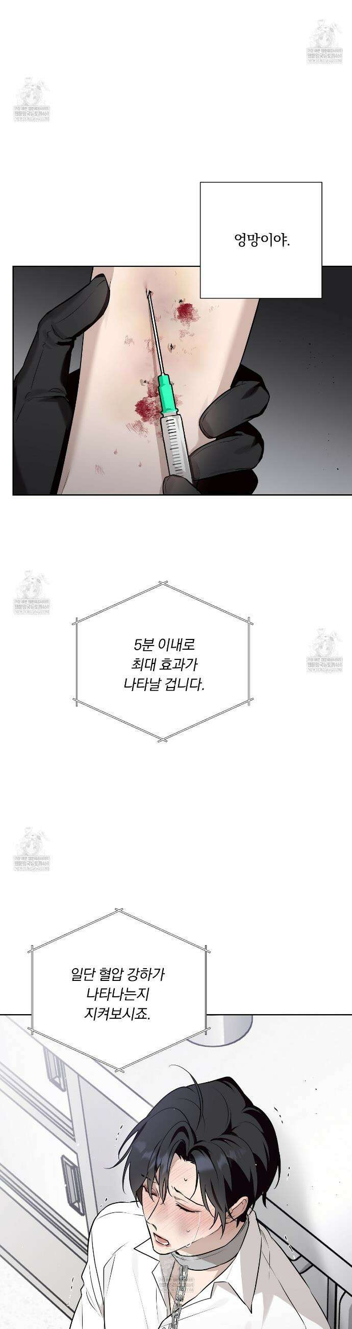 완벽한 오메가 54화 12