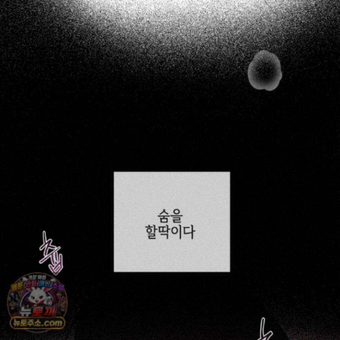 럭키 다이스 50화 28