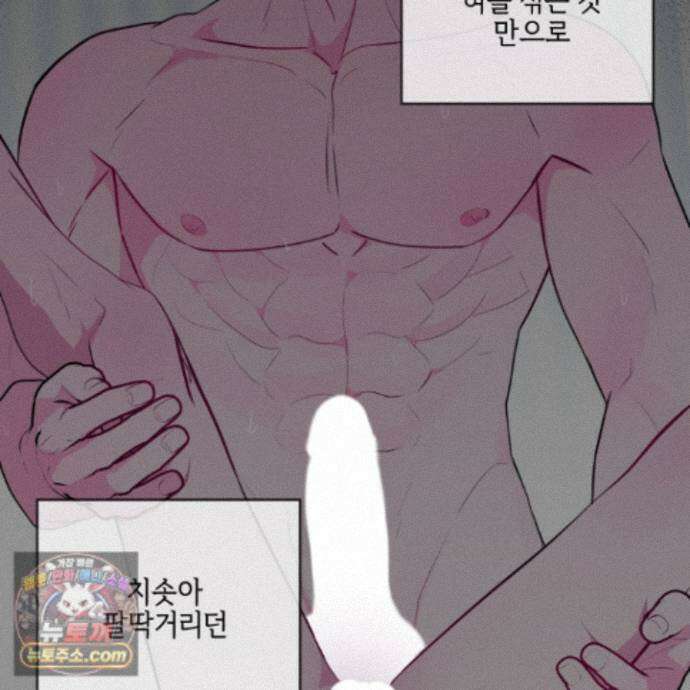 럭키 다이스 50화 31