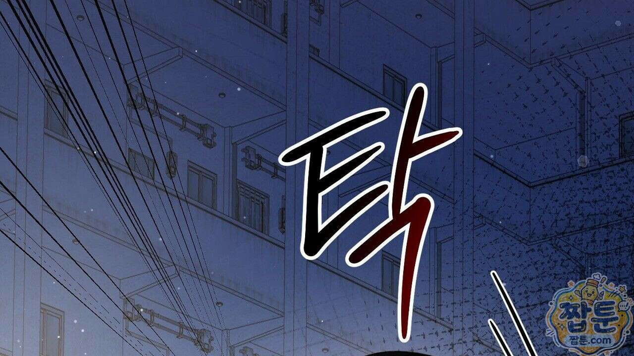 홍차와 범자  5화 229