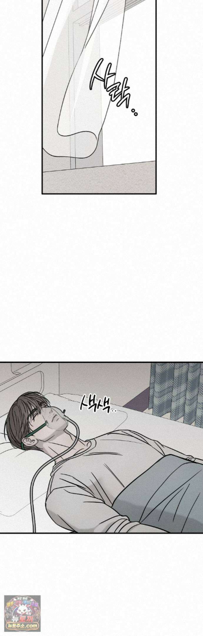 피에타 33화 12