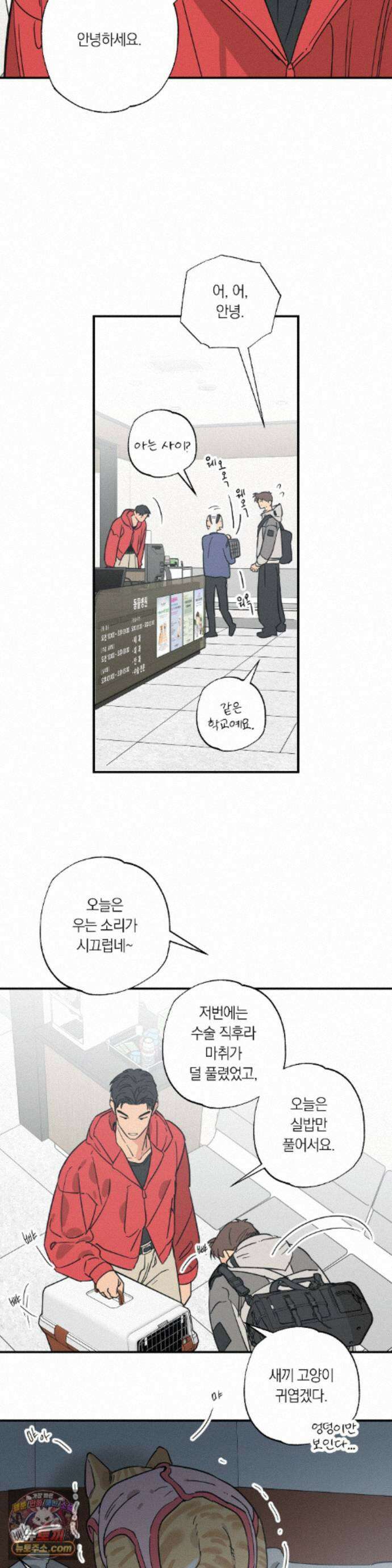 상호간택 29화 22