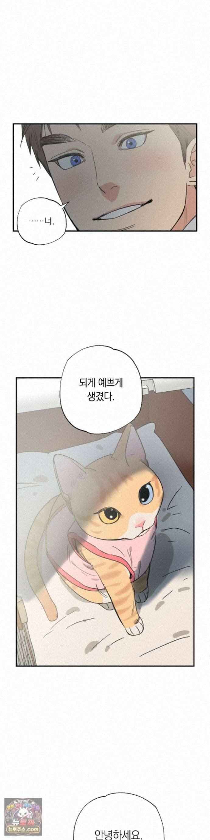 상호간택 29화 27