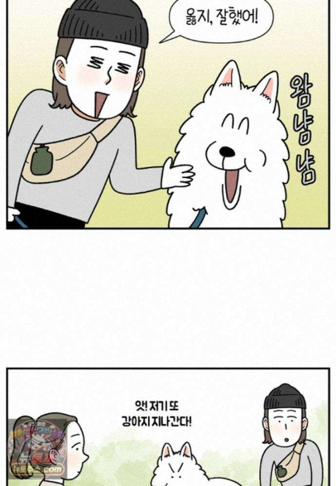극한견주 시즌2 149화 산책 중 간식 타임 3
