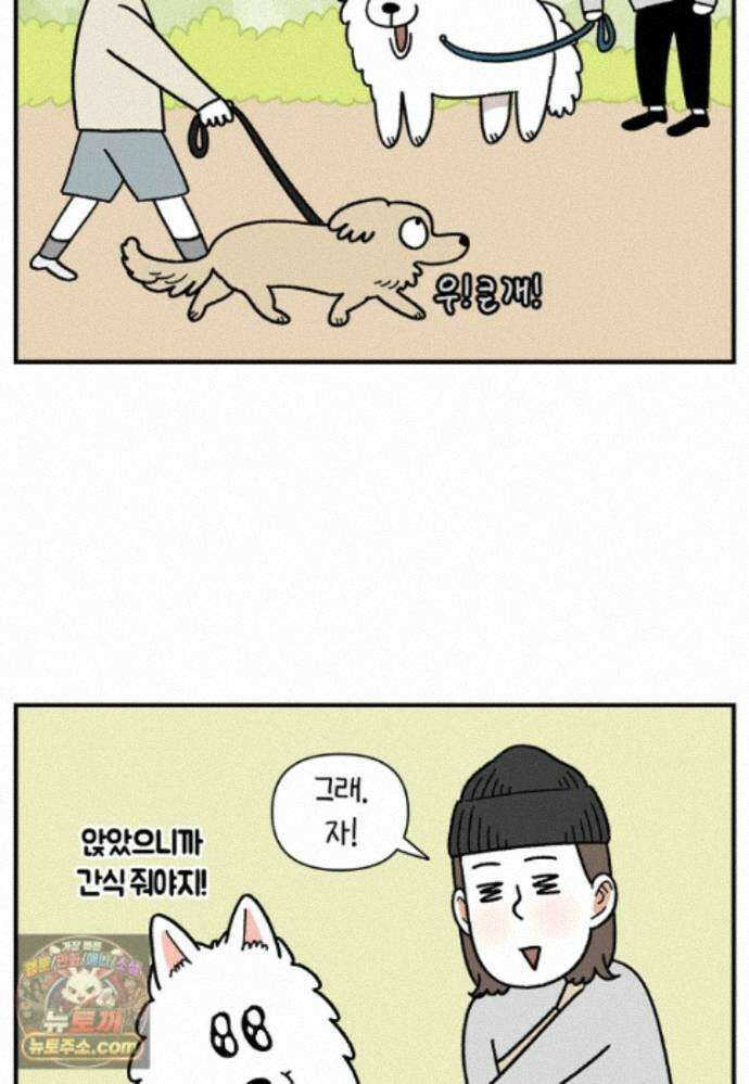 극한견주 시즌2 149화 산책 중 간식 타임 4