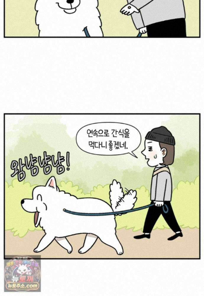 극한견주 시즌2 149화 산책 중 간식 타임 5