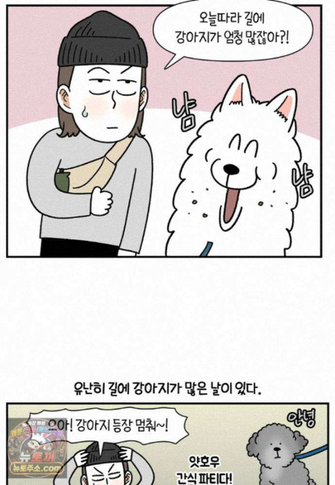 극한견주 시즌2 149화 산책 중 간식 타임 7