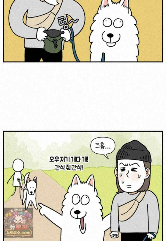 극한견주 시즌2 149화 산책 중 간식 타임 9