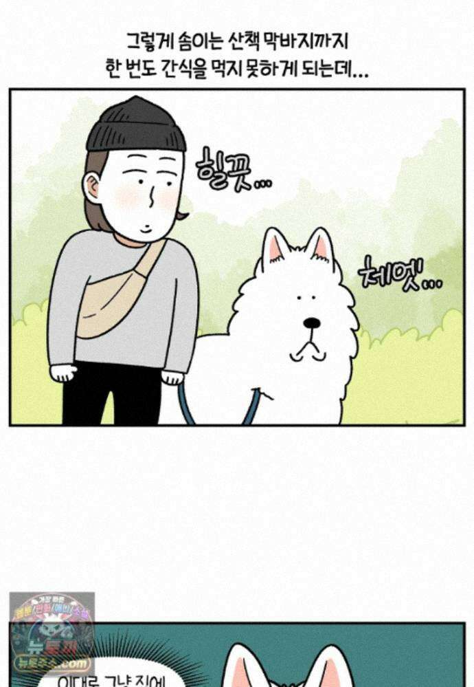 극한견주 시즌2 149화 산책 중 간식 타임 15