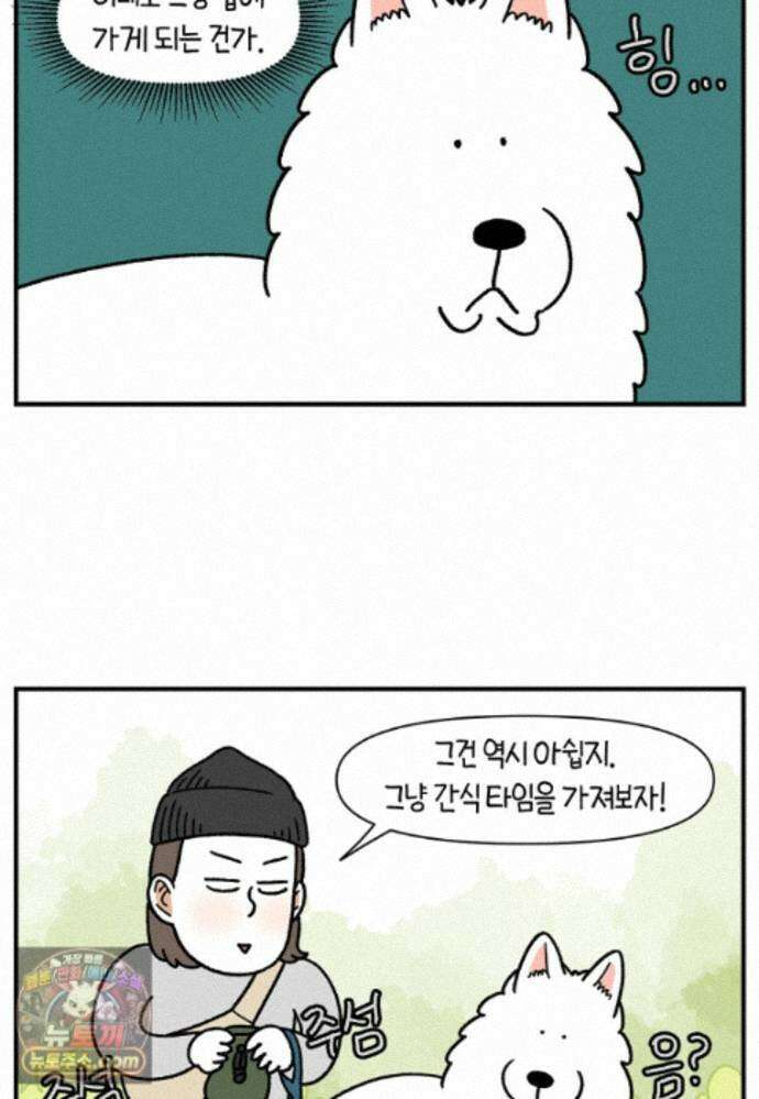 극한견주 시즌2 149화 산책 중 간식 타임 16
