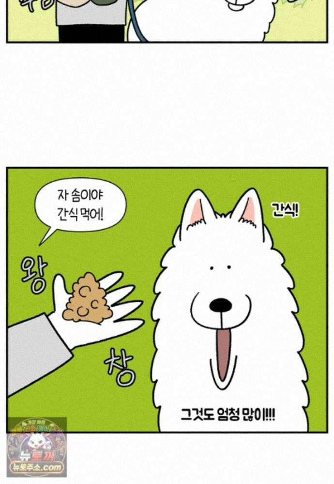 극한견주 시즌2 149화 산책 중 간식 타임 17