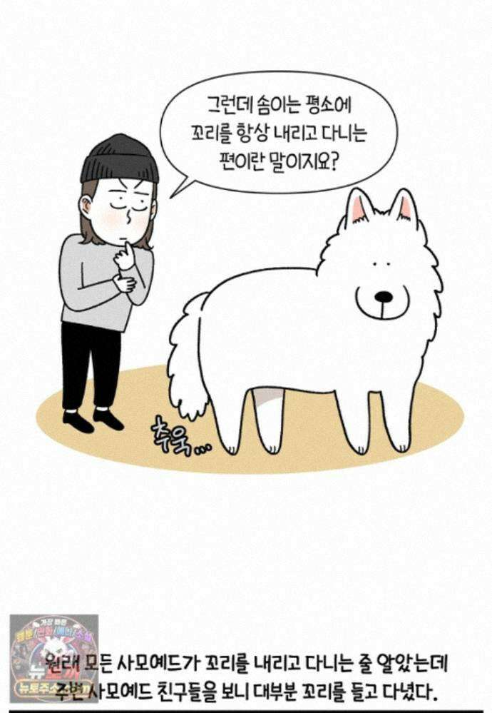 극한견주 시즌2 149화 산책 중 간식 타임 19
