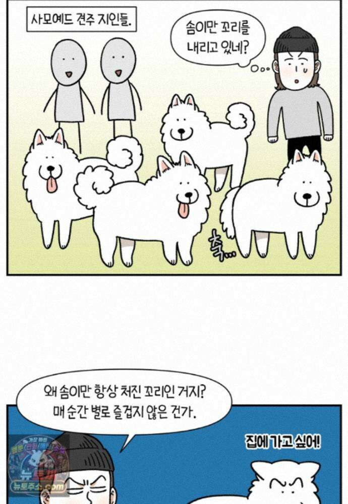 극한견주 시즌2 149화 산책 중 간식 타임 20