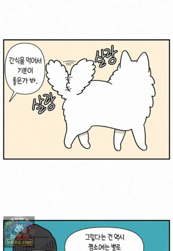 극한견주 시즌2 149화 산책 중 간식 타임 23