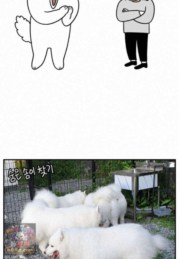 극한견주 시즌2 149화 산책 중 간식 타임 25