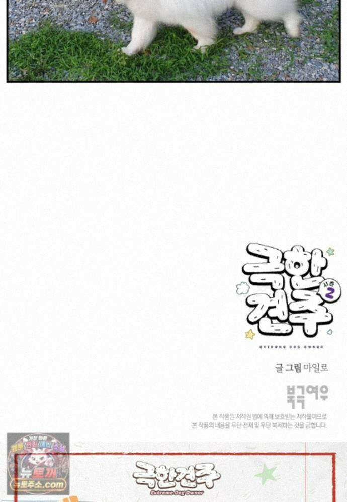극한견주 시즌2 149화 산책 중 간식 타임 26