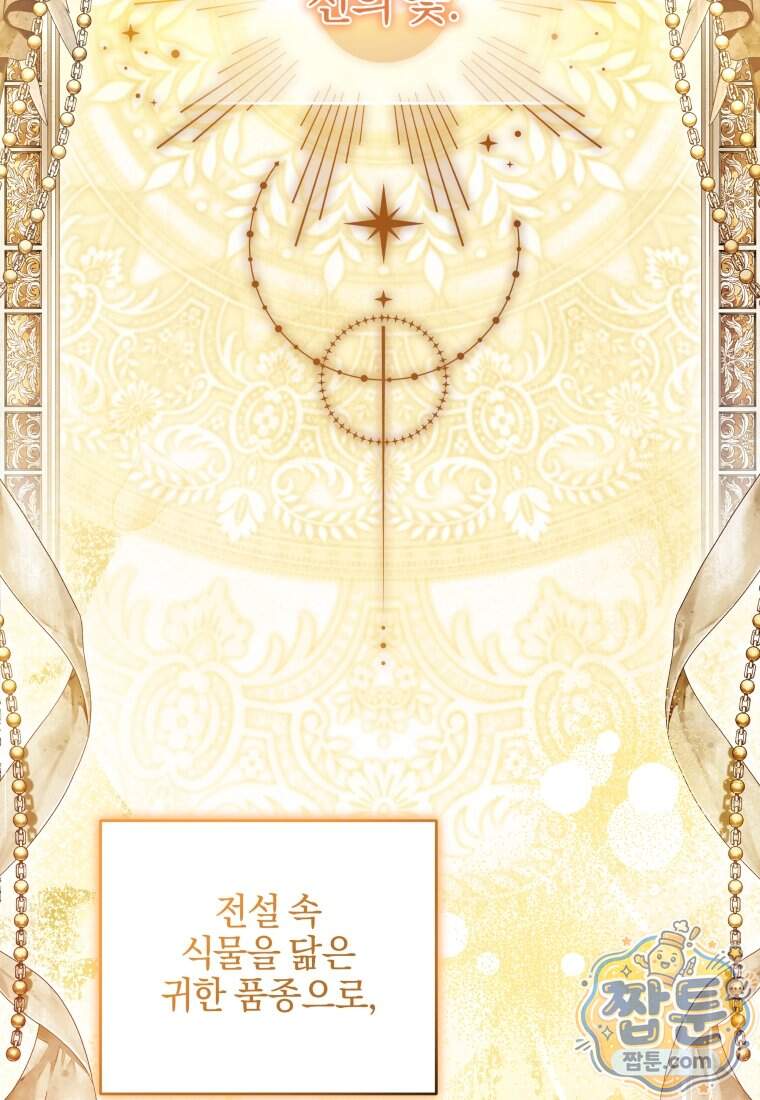 옆집 너드가 마탑주라니요 12화 20