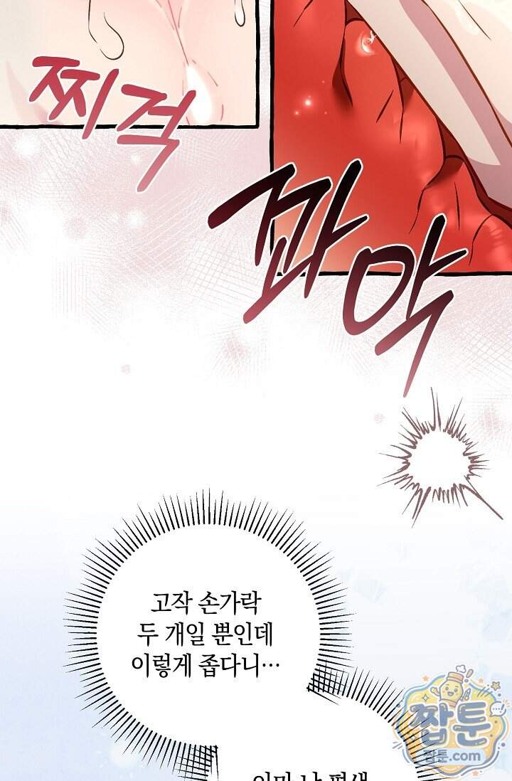 공작 부부에겐 비밀이 있다 16화 62