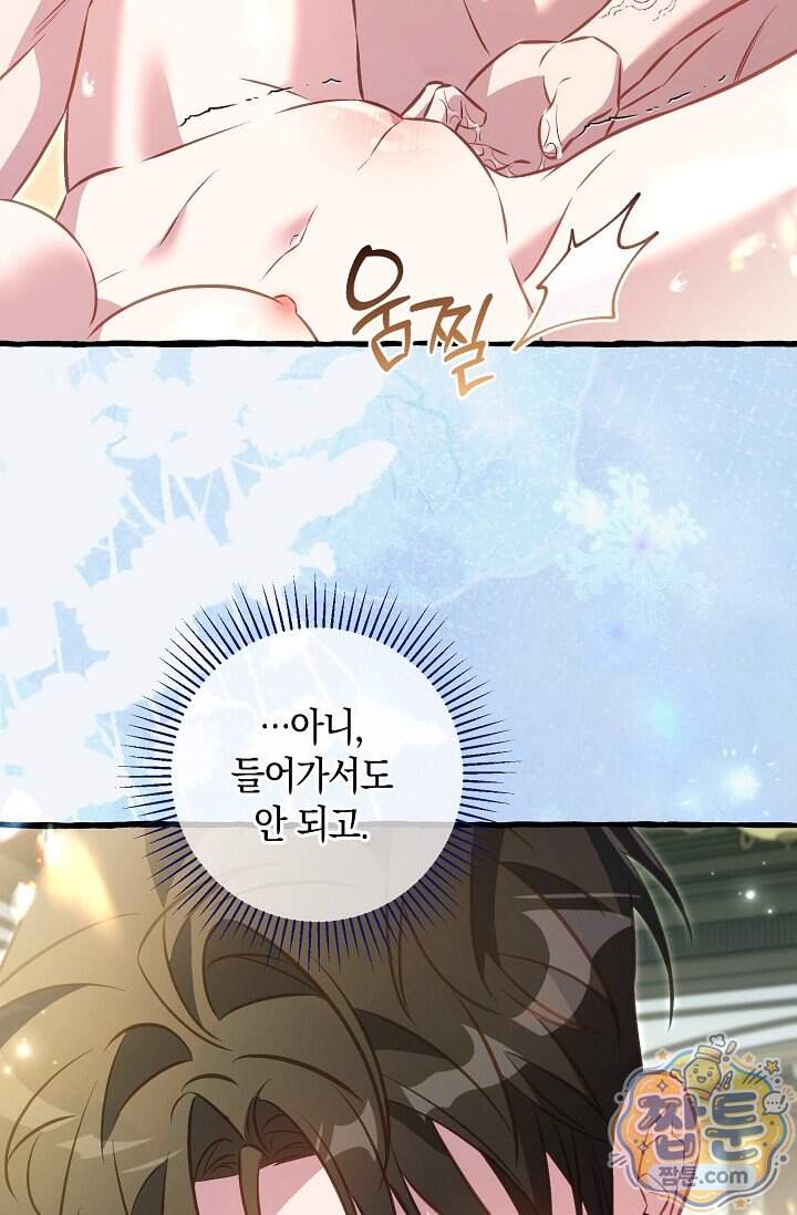 공작 부부에겐 비밀이 있다 16화 64