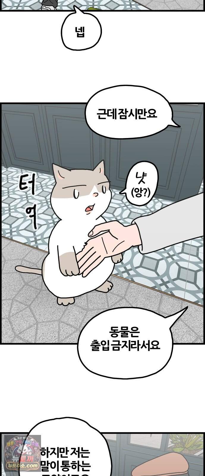 사회초년캣 30화 새 카페 4