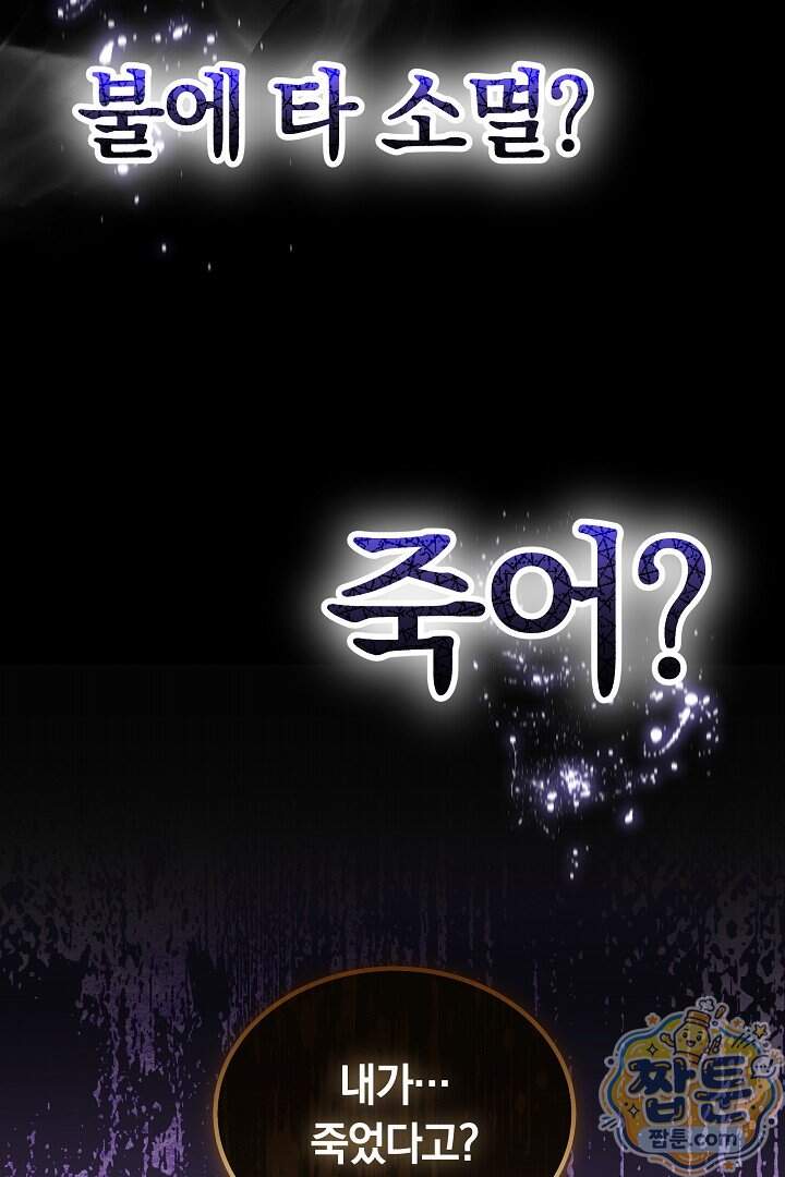 어느 날 남주가 우리 집에 떨어졌다 27화 10