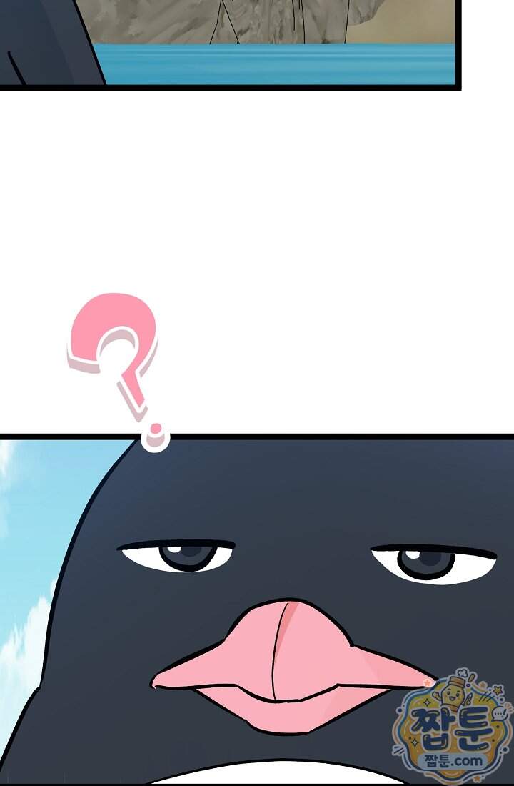 토끼라뇨, 누가 봐도 맹수인데 63화 1