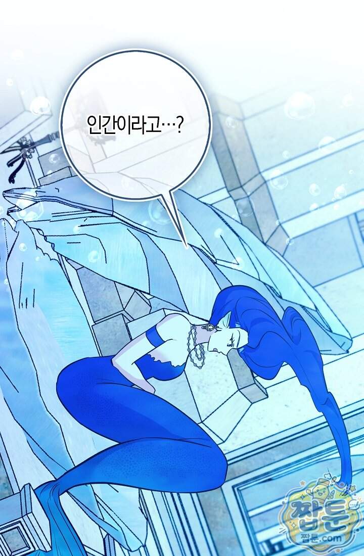 토끼라뇨, 누가 봐도 맹수인데 63화 41
