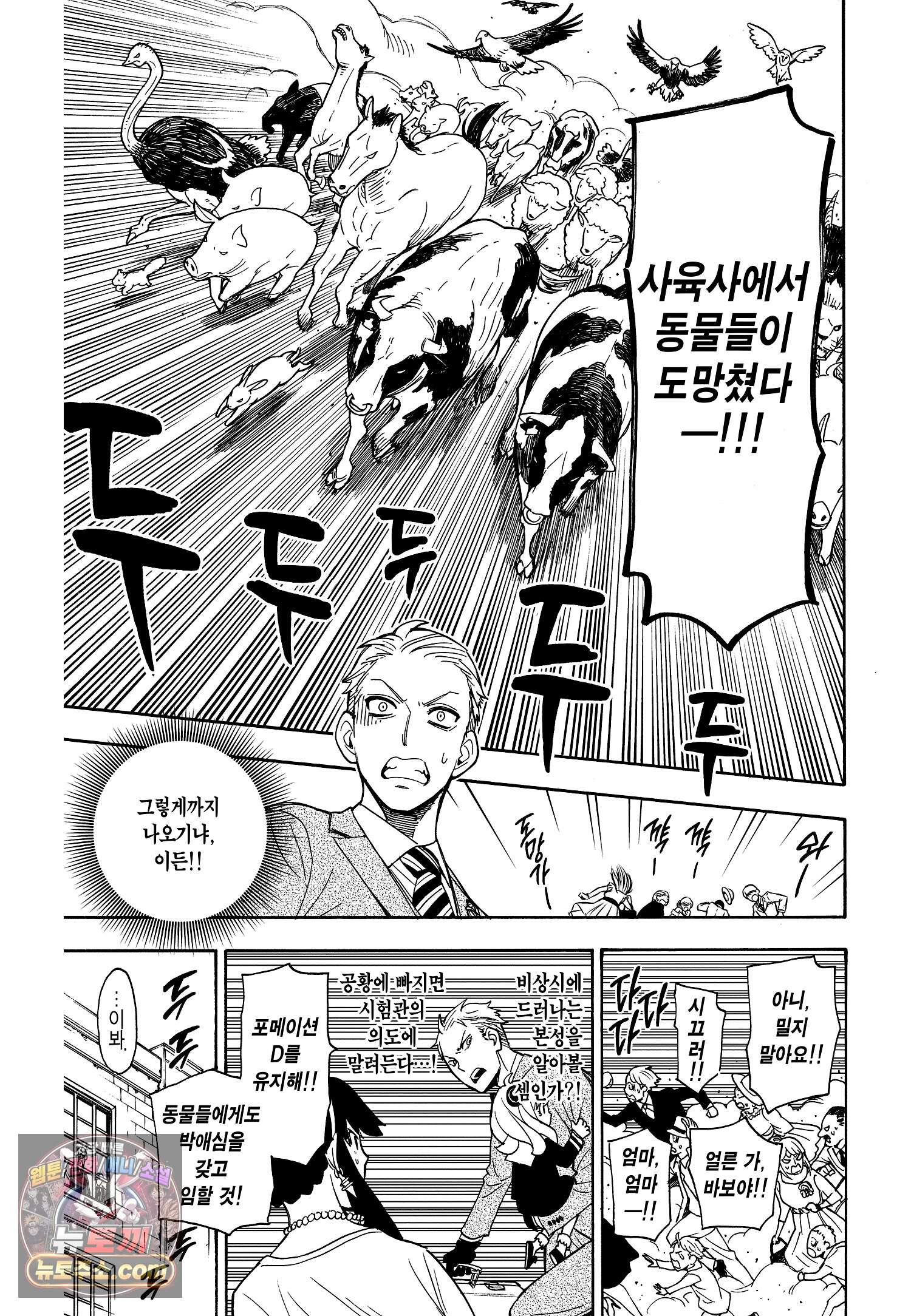스파이 패밀리 MISSION : 4 18