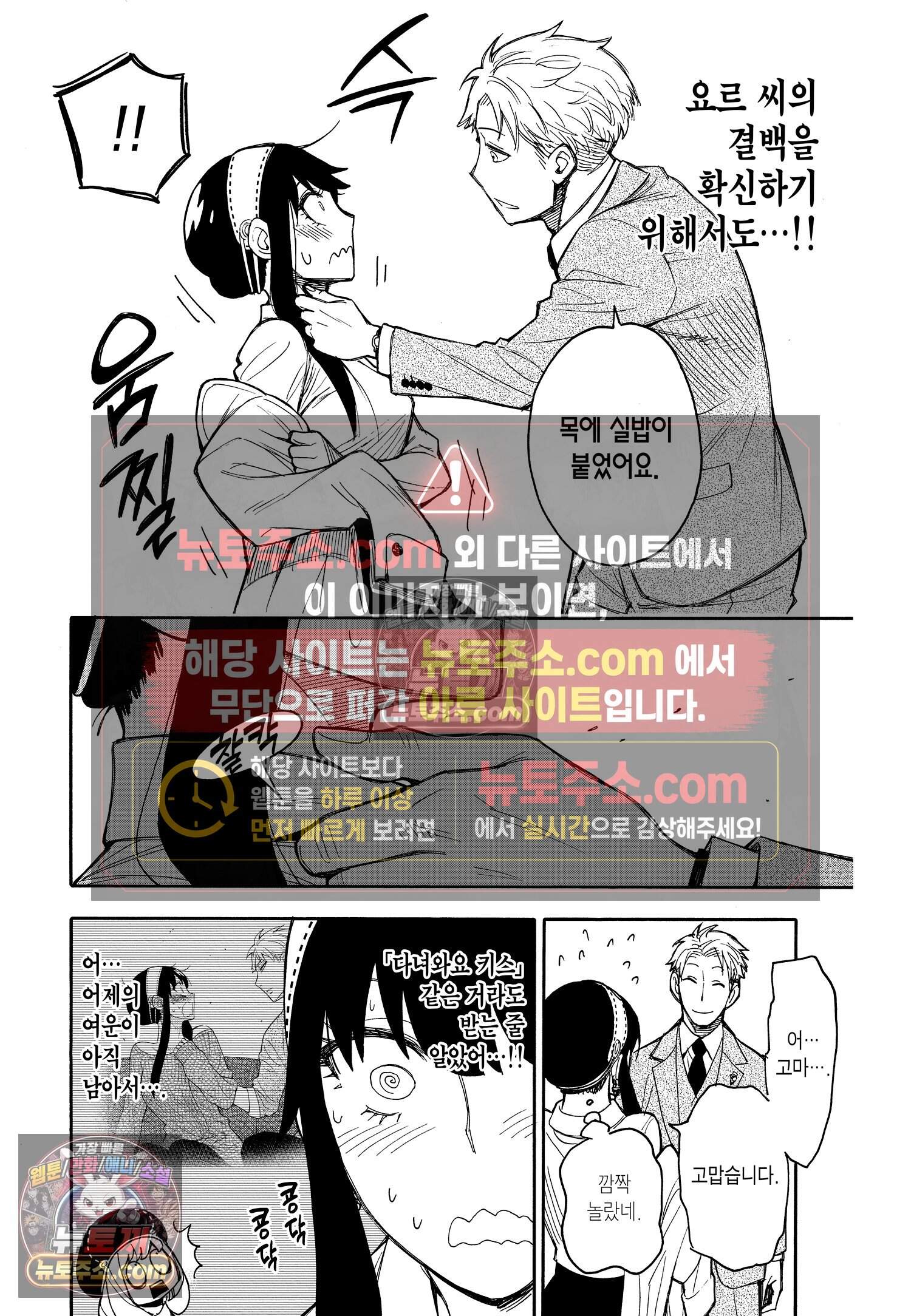 스파이 패밀리 MISSION : 14 7
