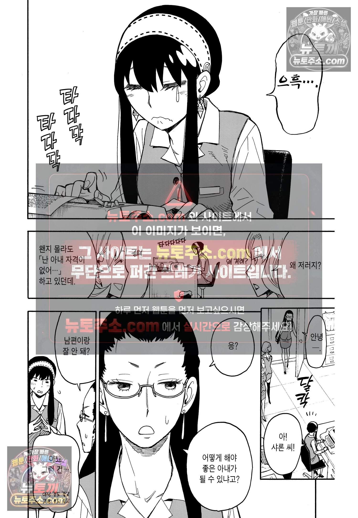 스파이 패밀리 MISSION : 14 13