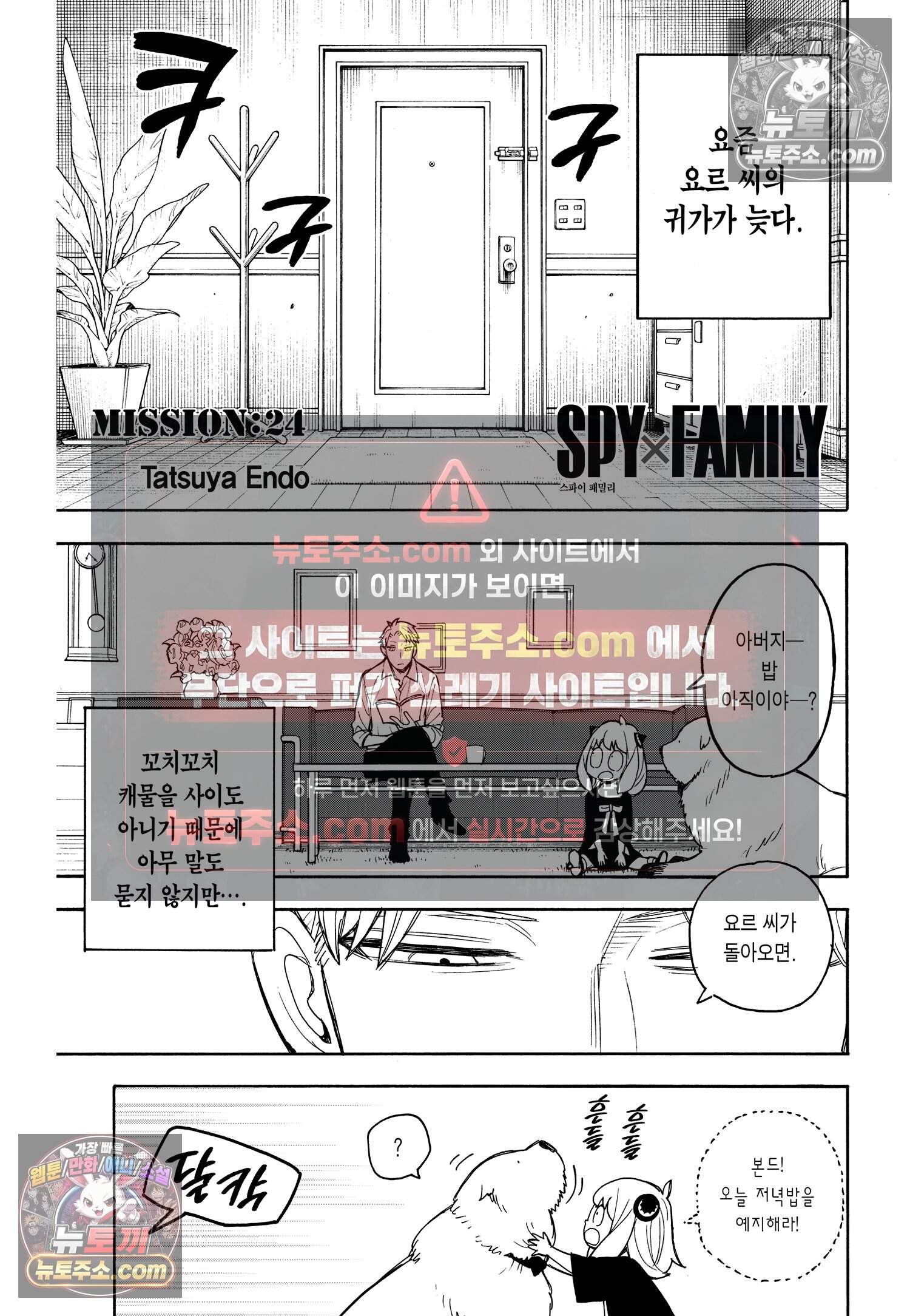 스파이 패밀리 MISSION : 24 2