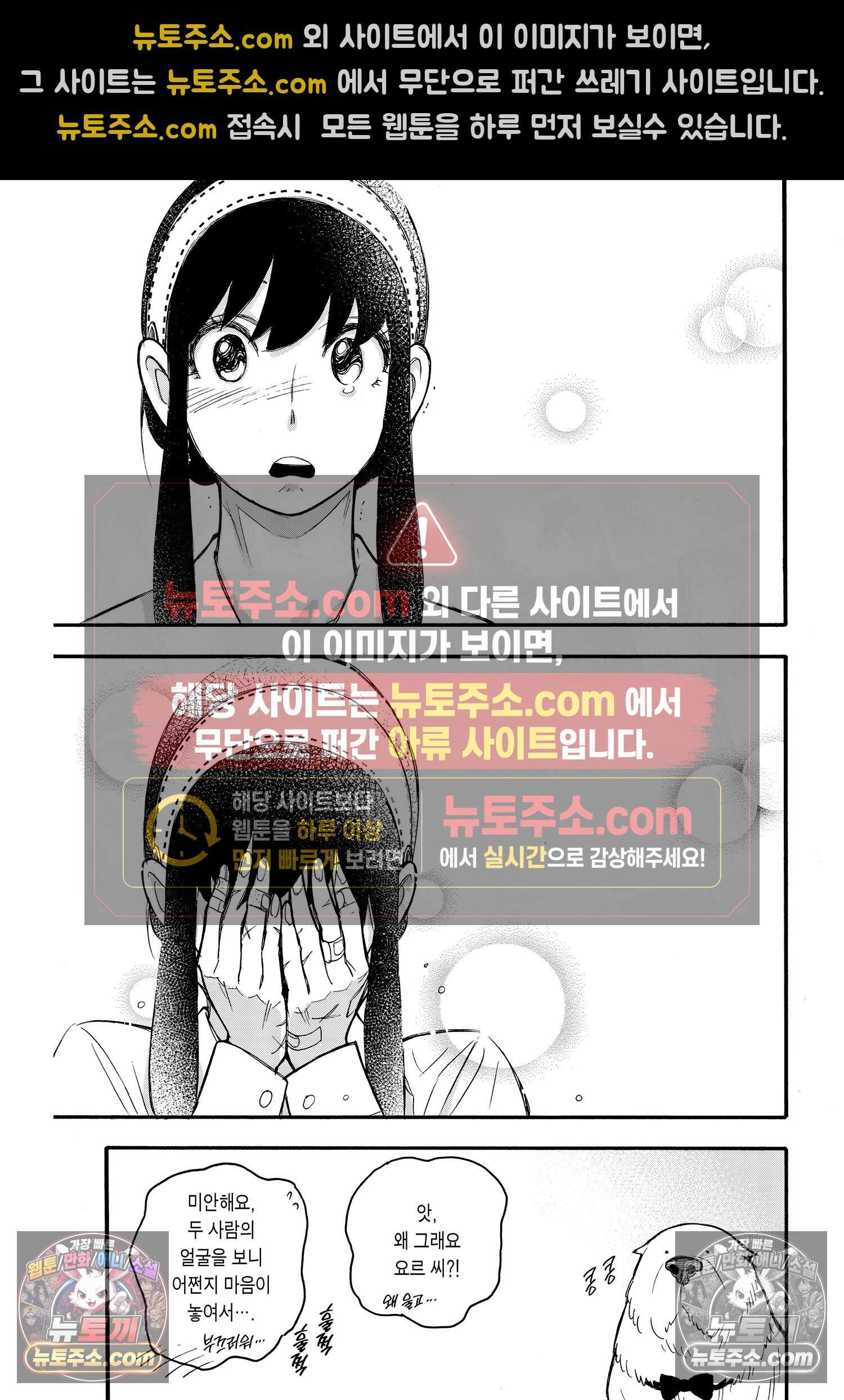 스파이 패밀리 MISSION : 24 24