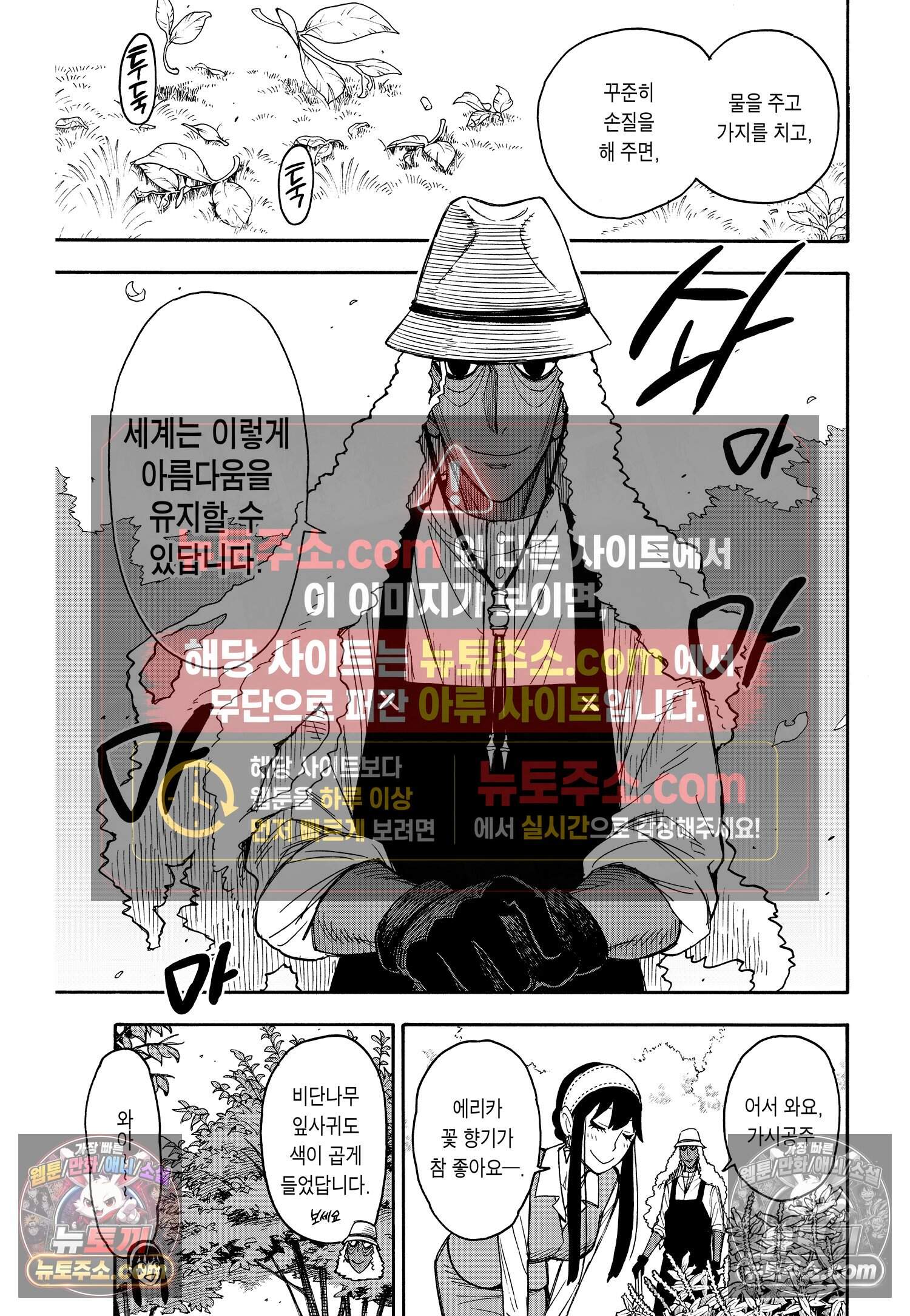 스파이 패밀리 MISSION : 44 4