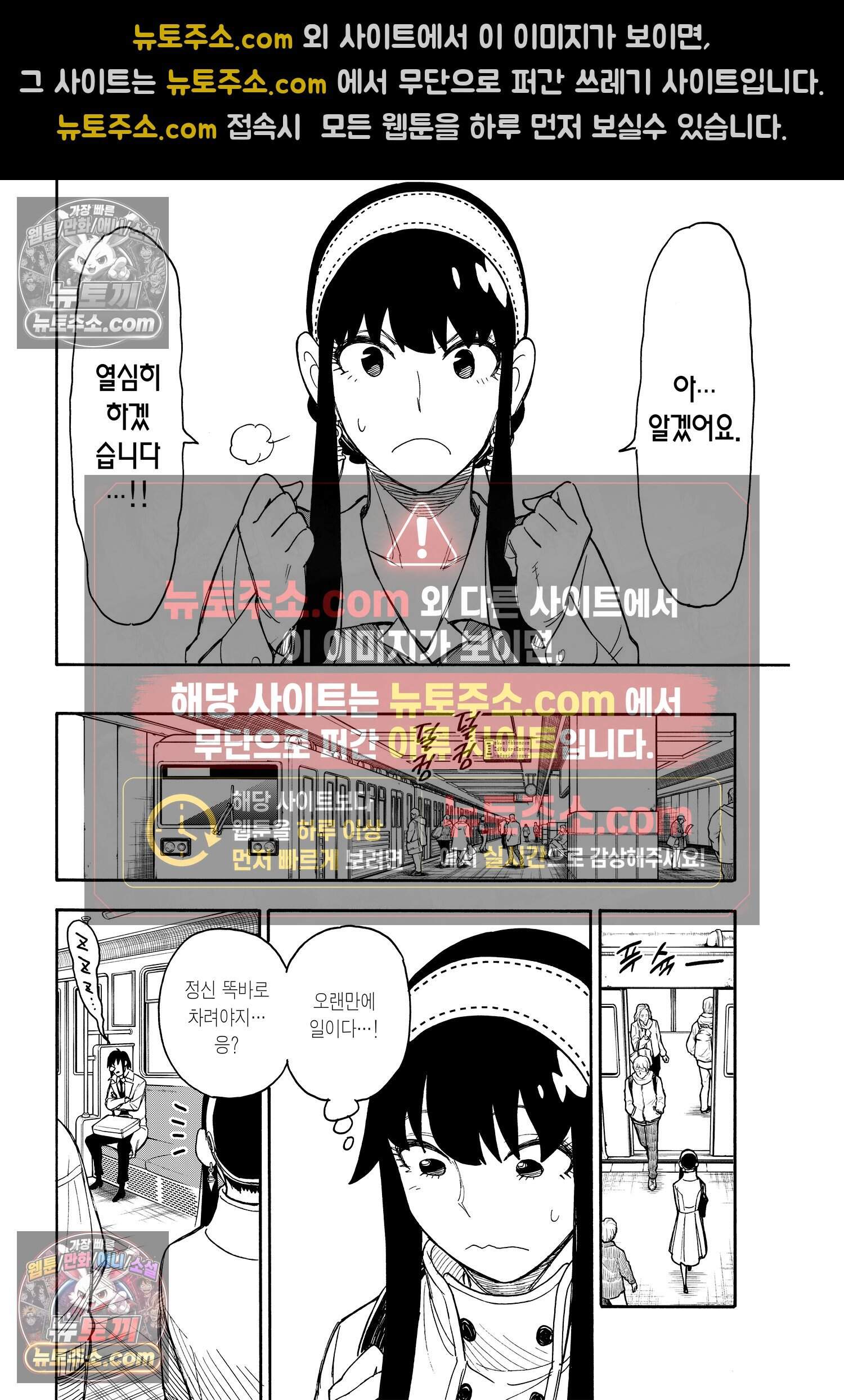 스파이 패밀리 MISSION : 44 11