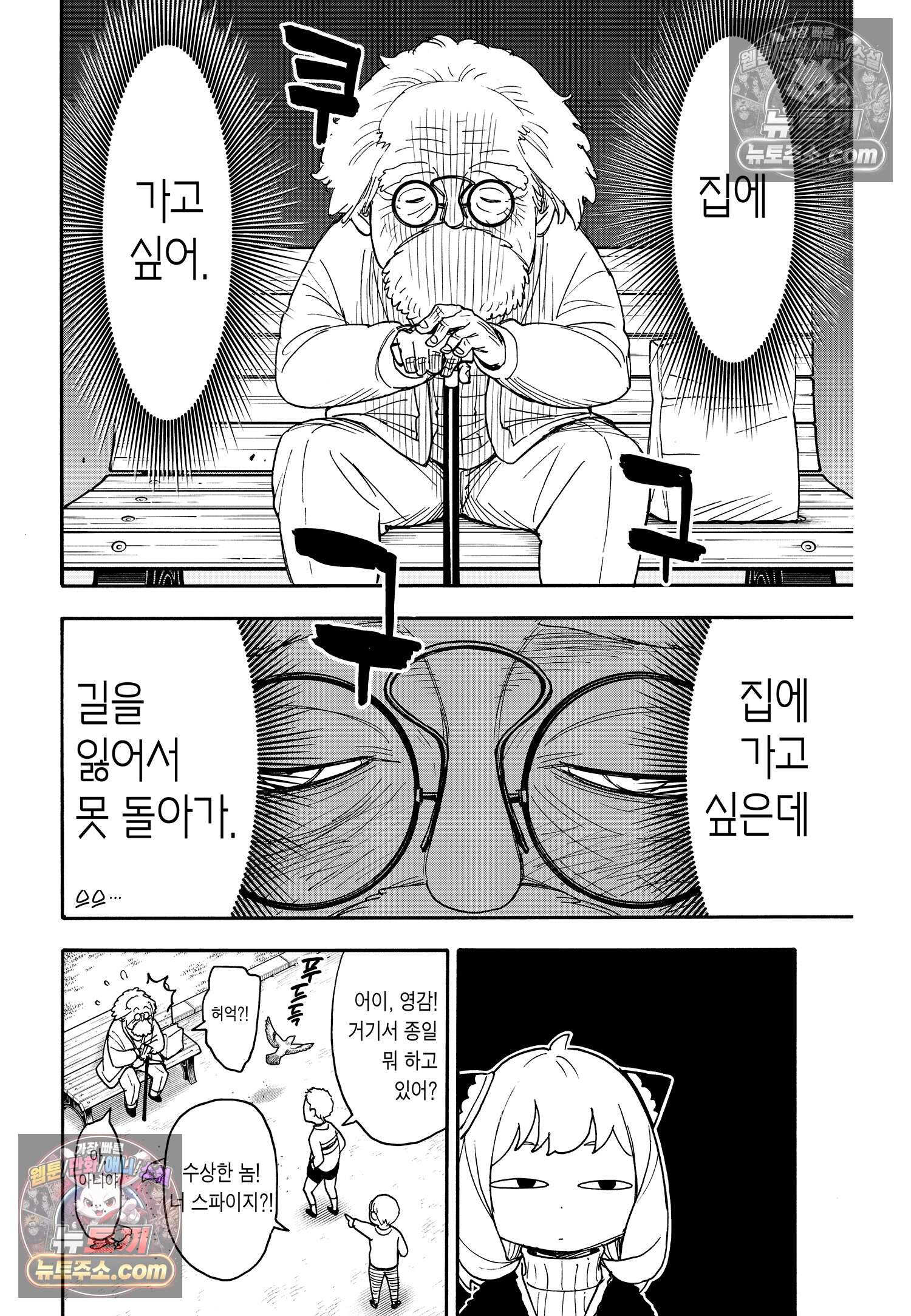 스파이 패밀리 MISSION : 90 5