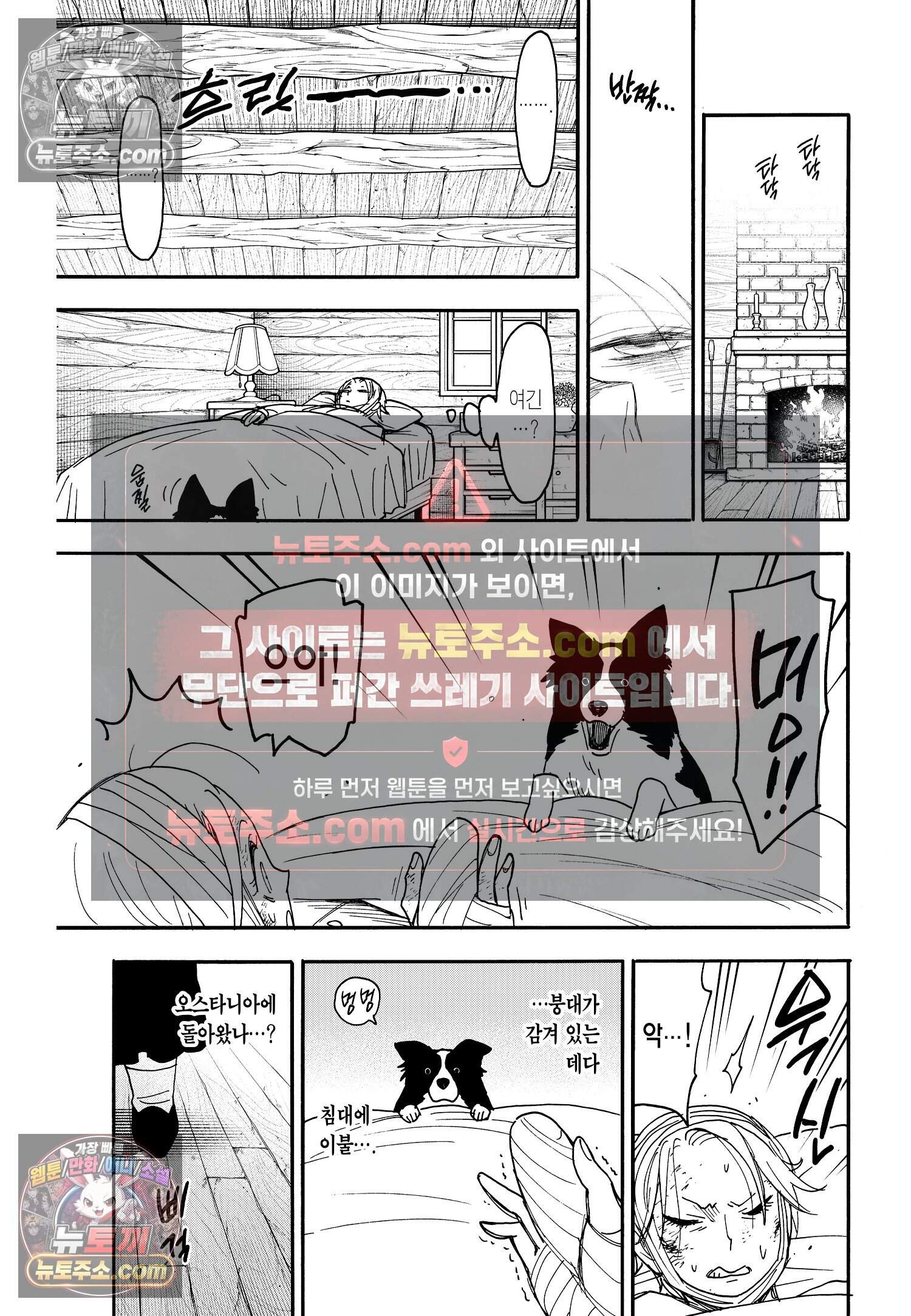 스파이 패밀리 MISSION : 100 8