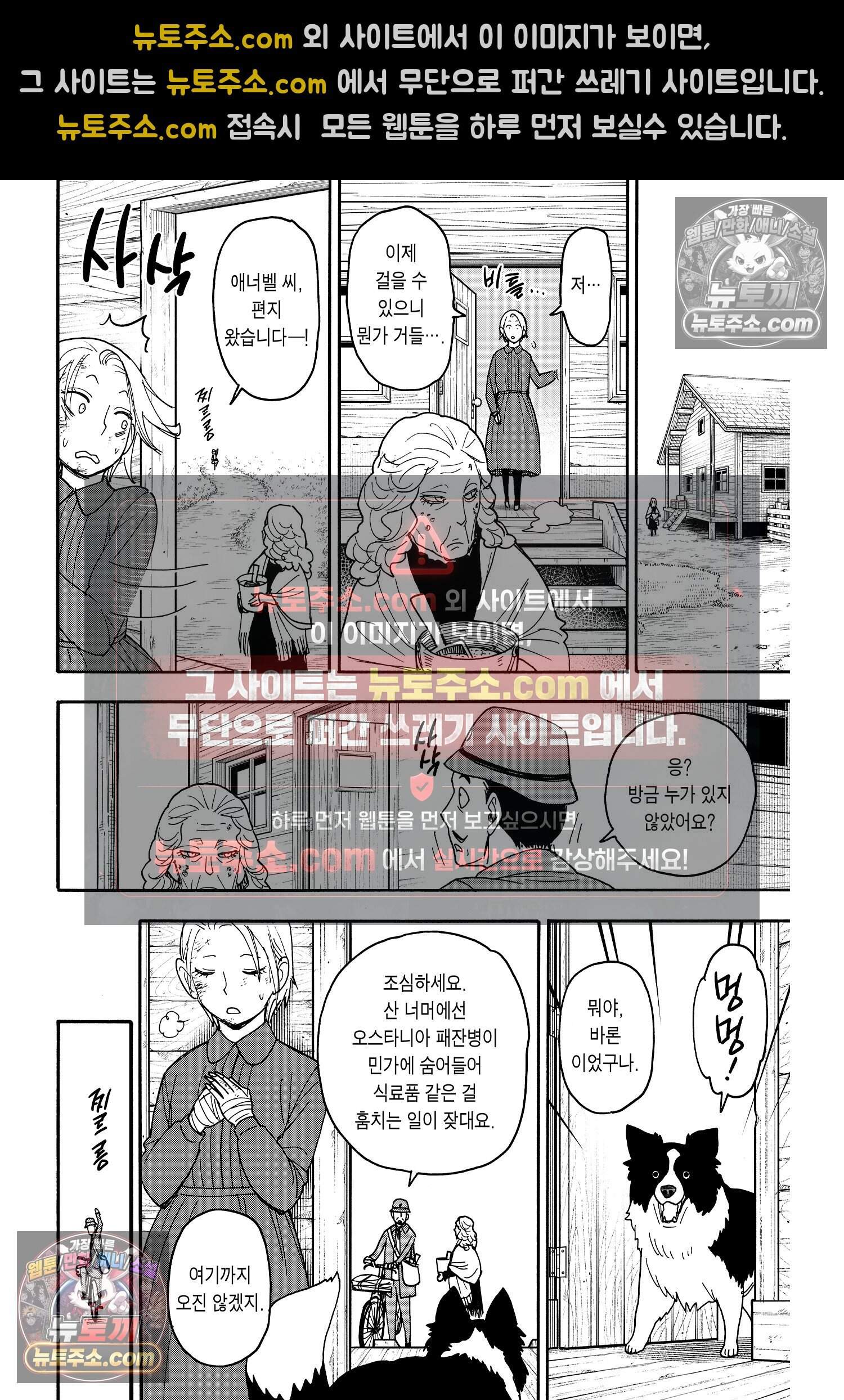 스파이 패밀리 MISSION : 100 13