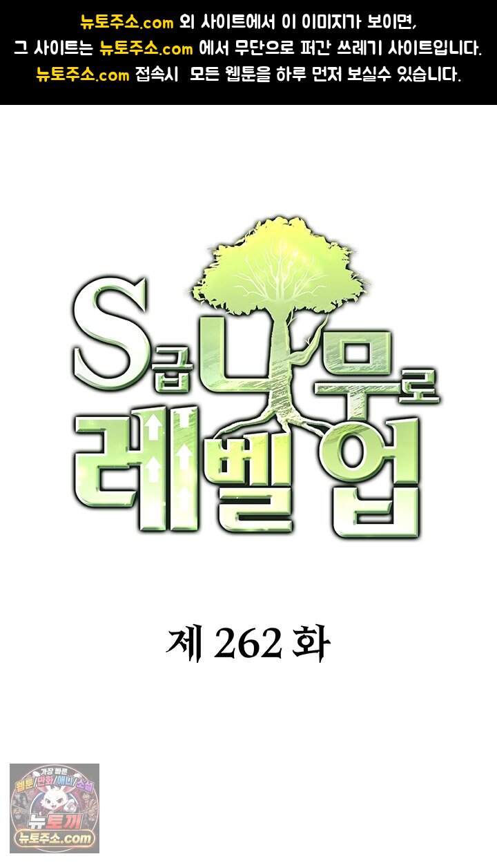 S급 나무로 레벨업 262화 1