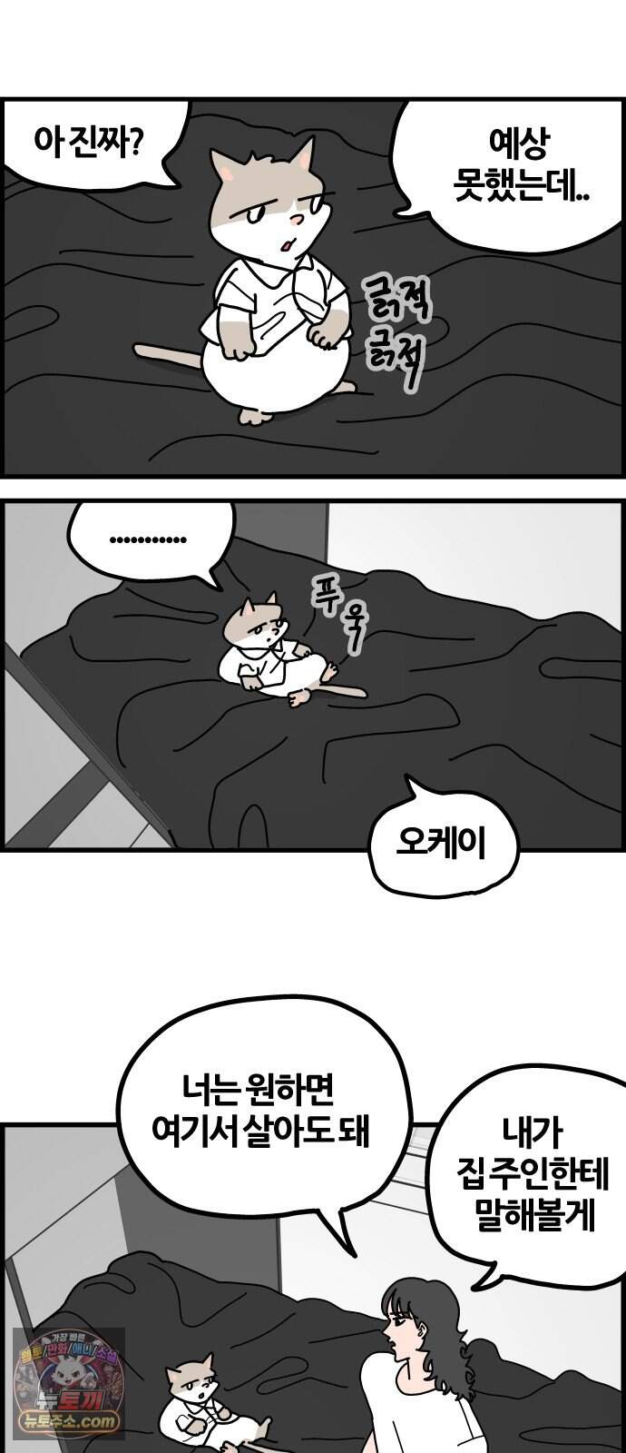 사회초년캣 35화 상담 2